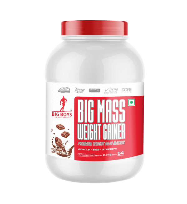 Big Boys Nutrition Big Mass Weight Gainer 2.7 Kgs